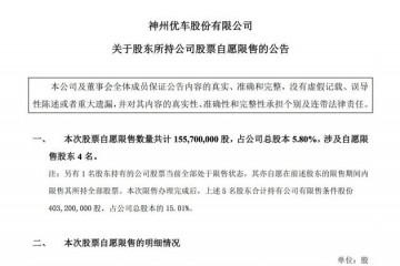 神州优车陆正耀等4名股东自愿限售所持股票算计1.56亿股