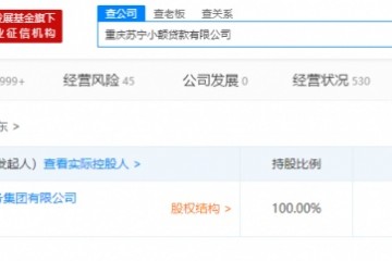 重庆苏宁小贷公司发作工商改变注册资本增至60亿